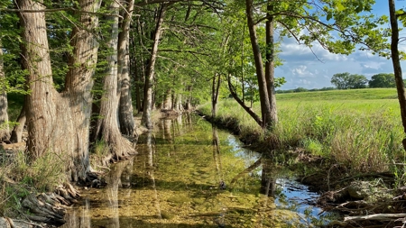 Unrestricted Land For Sale in Sisterdale Texas - image 1