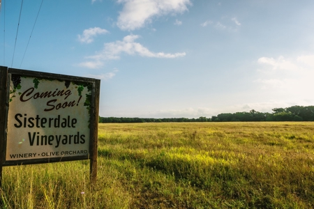 Unrestricted Land For Sale in Sisterdale Texas - image 16