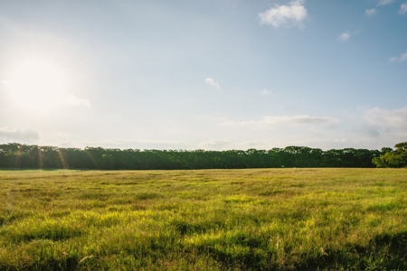 Unrestricted Land For Sale in Sisterdale Texas - image 8