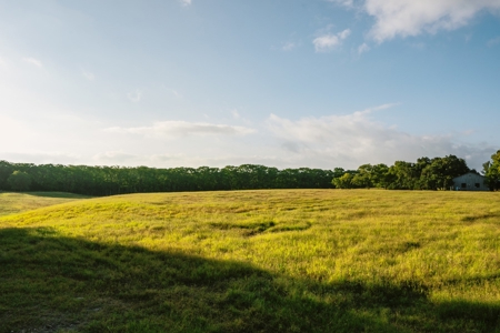 Unrestricted Land For Sale in Sisterdale Texas - image 7