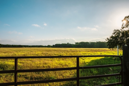 Unrestricted Land For Sale in Sisterdale Texas - image 10