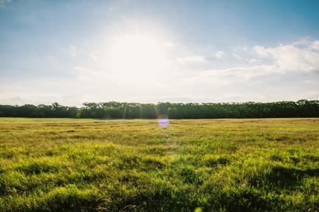 Unrestricted Land For Sale in Sisterdale Texas - image 5