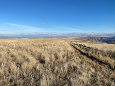 Farm for Sale in Asotin County, WA! - image 8