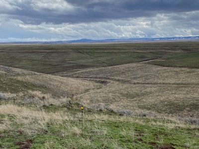 Farm for Sale in Asotin County, WA! - image 5
