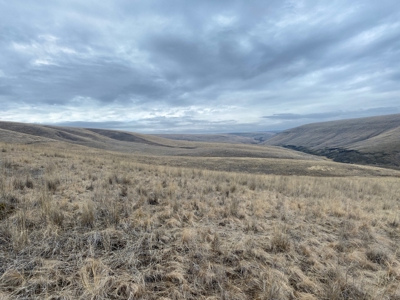 Farm for Sale in Asotin County, WA! - image 15