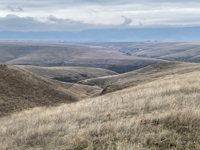 Farm for Sale in Asotin County, WA! - image 16