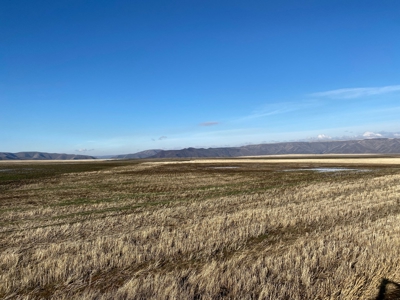 Farm for Sale in Asotin County, WA! - image 3