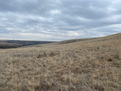 Farm for Sale in Asotin County, WA! - image 13