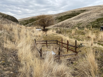 Farm for Sale in Asotin County, WA! - image 11