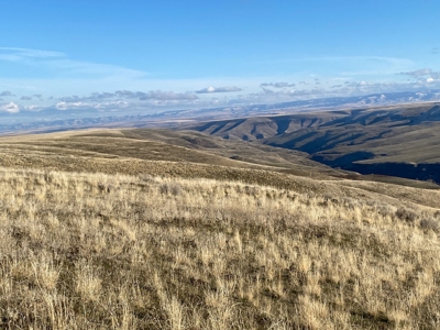 Farm for Sale in Asotin County, WA! - image 9