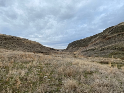 Farm for Sale in Asotin County, WA! - image 10