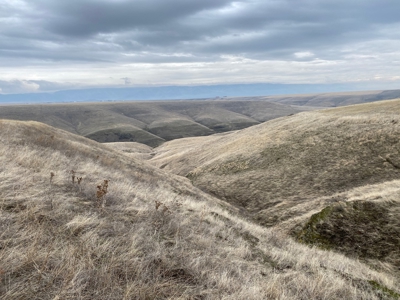 Farm for Sale in Asotin County, WA! - image 14