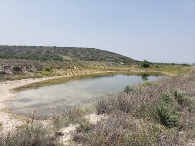 Texas Ranch with minerals and income near Midland, TX - image 18