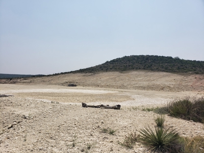 Texas Ranch with minerals and income near Midland, TX - image 17