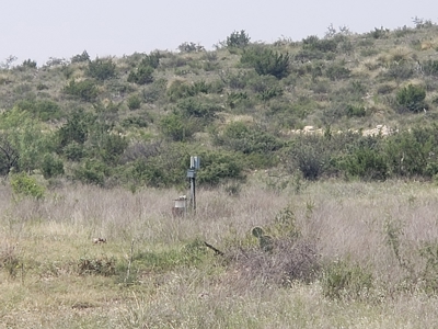 Texas Ranch with minerals and income near Midland, TX - image 21