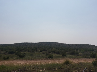 Texas Ranch with minerals and income near Midland, TX - image 23