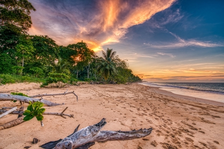 Titled Beachfront Bed & Breakfast and Restaurant - image 11