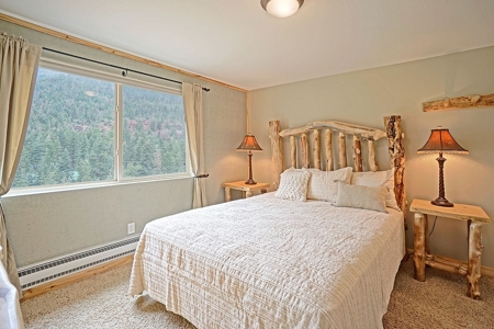 Mountain Home For Sale, Ouray, Colorado - image 15
