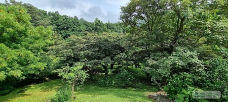 Mountain Community House For Sale In Altos Del Maria, Panama - image 36
