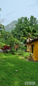 Mountain Community House For Sale In Altos Del Maria, Panama - image 8