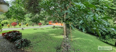 Mountain Community House For Sale In Altos Del Maria, Panama - image 43
