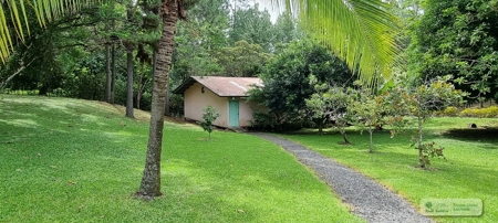 Mountain Community House For Sale In Altos Del Maria, Panama - image 11