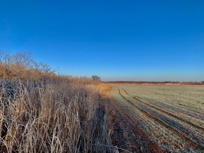 54 Acres +/- on the Deep Fork River - Chandler, OK - image 10