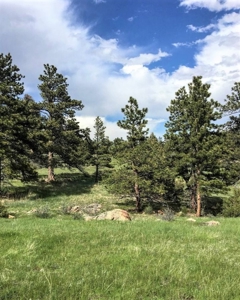 Peaceful Quiet Meadow in Mountain - image 2
