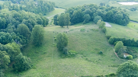 Pending Country Home on 18.27 +/- Acres in Monroe Co, KY - image 4