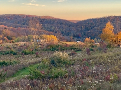 Mountain top retreat in Roscoe, NY - image 4