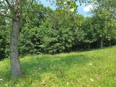 Lake Lot For Sale - image 12