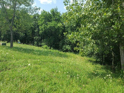 Lake Lot For Sale - image 4