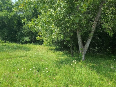 Lake Lot For Sale - image 15