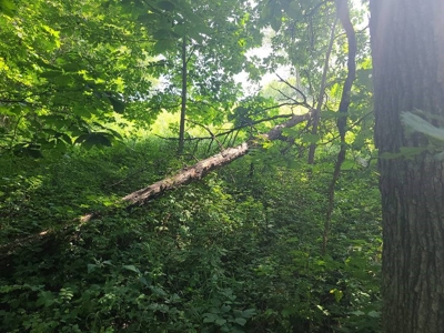 Lake Lot For Sale - image 14