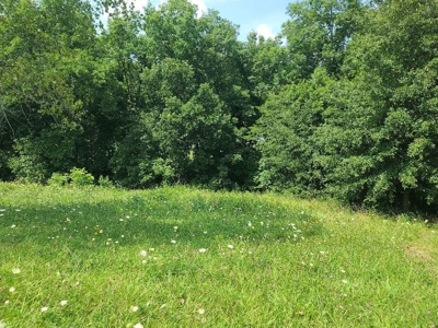 Lake Lot For Sale - image 11