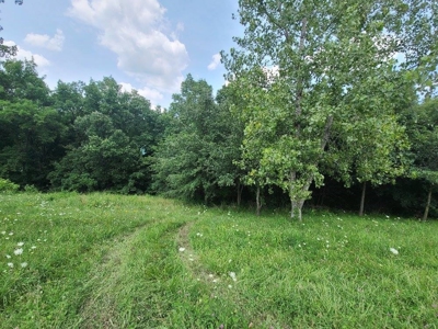 Lake Lot For Sale - image 9