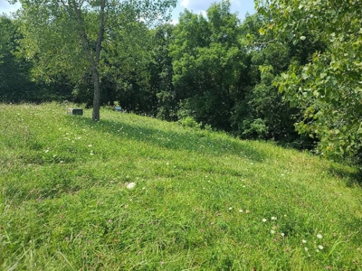 Lake Lot For Sale - image 5