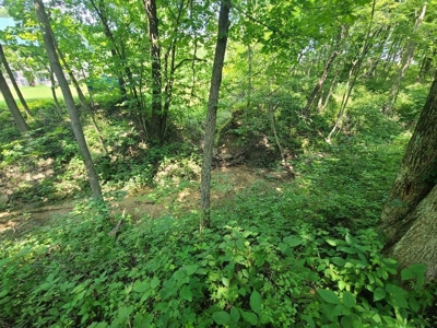 Lake Lot For Sale - image 8