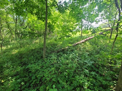 Lake Lot For Sale - image 13