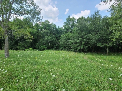 Lake Lot For Sale - image 1