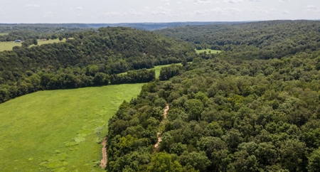 Big Spring And Creek Near Buffalo River In Arkansas - image 3