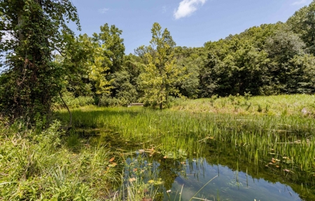 Big Spring And Creek Near Buffalo River In Arkansas - image 28