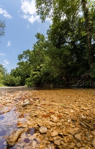Big Spring And Creek Near Buffalo River In Arkansas - image 26