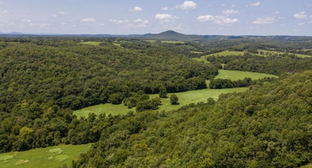Big Spring And Creek Near Buffalo River In Arkansas - image 20