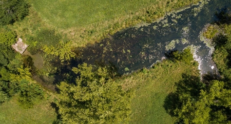 Big Spring And Creek Near Buffalo River In Arkansas - image 15