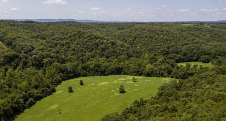 Big Spring And Creek Near Buffalo River In Arkansas - image 19