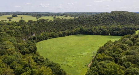 Big Spring And Creek Near Buffalo River In Arkansas - image 2