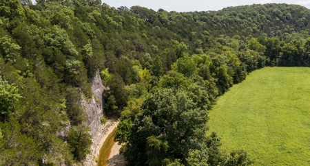 Big Spring And Creek Near Buffalo River In Arkansas - image 5