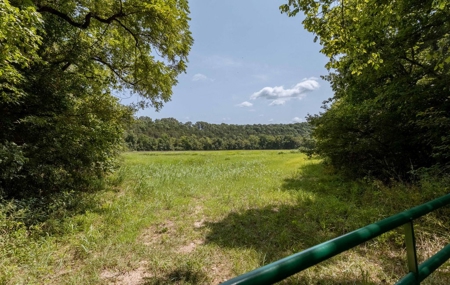 Big Spring And Creek Near Buffalo River In Arkansas - image 31
