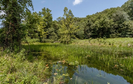 Big Spring And Creek Near Buffalo River In Arkansas - image 32